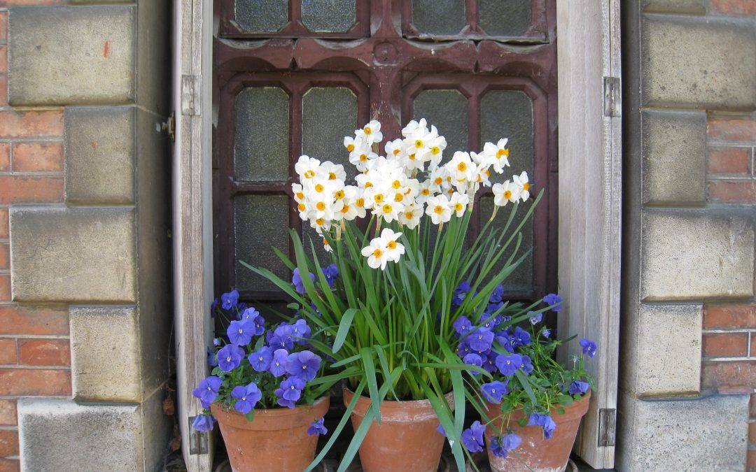 Les prénoms originaux