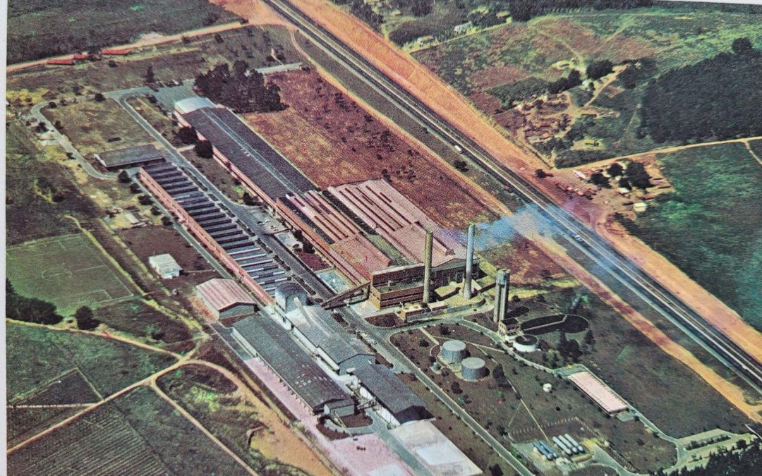 PROVIDRO – Septembre 1962 – Novembre 1963 : la mise en route de l&rsquo;usine
